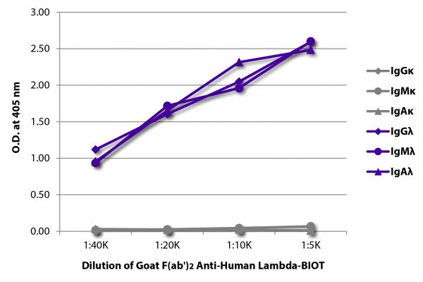 ELISA plate was coated with purified human IgGκ, IgMκ, IgAκ, IgGλ, IgMλ, and IgAλ. Immunoglobulins were detected with serially diluted Goat F(ab')<sub>2</sub> Anti-Human Lambda-BIOT (SB Cat. No. 2072-08) followed by Streptavidin-HRP (SB Cat. No. 7100-05).