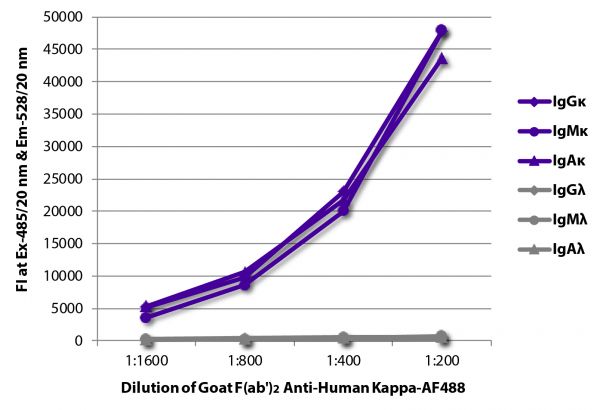 FLISA plate was coated with purified human IgGκ, IgMκ, IgAκ, IgGλ, IgMλ, and IgAλ. Immunoglobulins were detected with serially diluted Goat F(ab')<sub>2</sub> Anti-Human Kappa-AF488 (SB Cat. No. 2062-30).