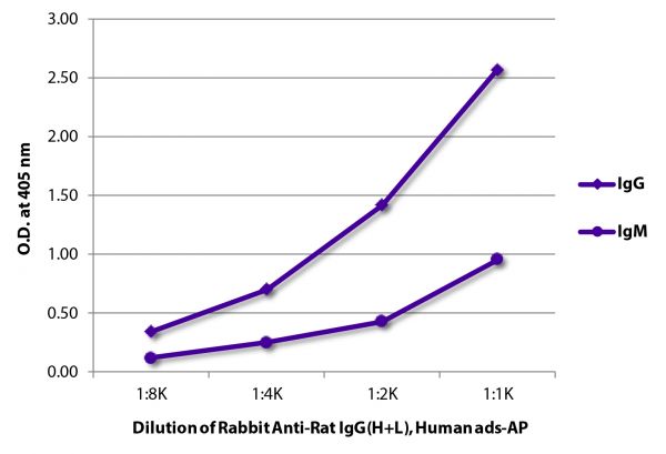 ELISA plate was coated with purified rat IgG and IgM. Immunoglobulins were detected with Rabbit Anti-Rat IgG(H+L), Human ads-AP (SB Cat. No. 6185-04).
