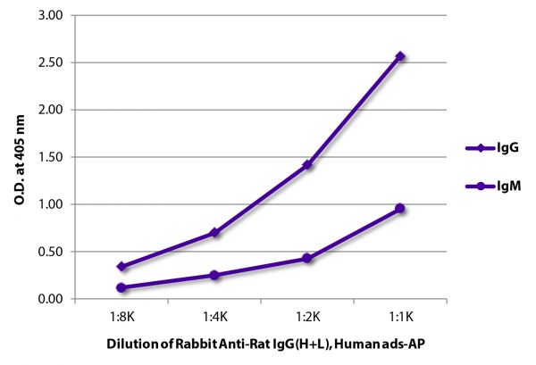 ELISA plate was coated with purified rat IgG and IgM.  Immunoglobulins were detected with Rabbit Anti-Rat IgG(H+L), Human ads-AP (SB Cat. No. 6185-04).