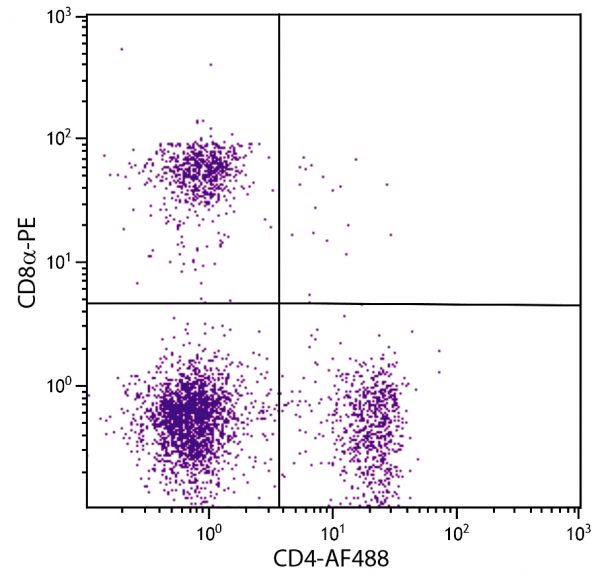 BALB/c mouse splenocytes were stained with Rat Anti-Mouse CD4-AF488 (SB Cat. 1540-30) and Rat Anti-Mouse CD8α-PE (SB Cat. No. 1550-09).