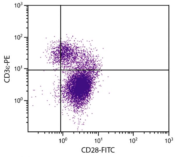 BALB/c mouse thymocytes were stained with Hamster Anti-Mouse CD28-FITC (SB Cat. No. 1610-02) and Rat Anti-Mouse CD3ε-PE (SB Cat. No. 1535-09).