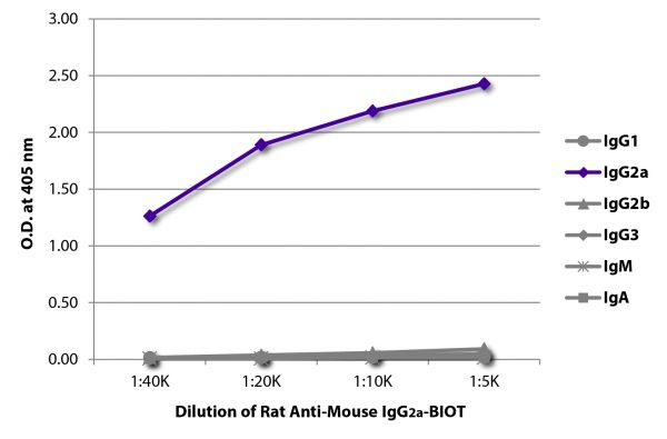 ELISA plate was coated with purified mouse IgG<sub>1</sub>, IgG<sub>2a</sub>, IgG<sub>2b</sub>, IgG<sub>3</sub>, IgM, and IgA.  Immunoglobulins were detected with serially diluted Rat Anti-Mouse IgG<sub>2a</sub>-BIOT (SB Cat. No. 1155-08) followed by Streptavidin-HRP (SB Cat. No. 7100-05).