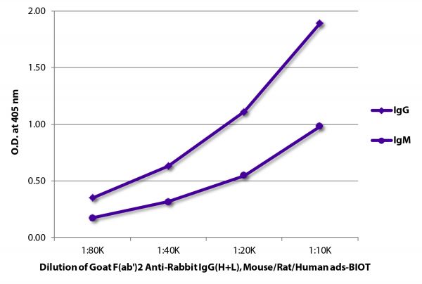 ELISA plate was coated with purified rabbit IgG and IgM. Immunoglobulins were detected with serially diluted Goat F(ab')<sub>2</sub> Anti-Rabbit IgG(H+L), Mouse/Rat/Human ads-BIOT (SB Cat. No. 4054-08) followd by Streptavidin-HRP (SB Cat. No. 7100-05).