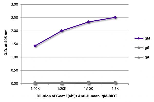 ELISA plate was coated with purified human IgM, IgG, and IgA.  Immunoglobulins were detected with serially diluted Goat F(ab')<sub>2</sub> Anti-Human IgM-BIOT (SB Cat. No. 2022-08) followed by Streptavidin-HRP (SB Cat. No. 7100-05).