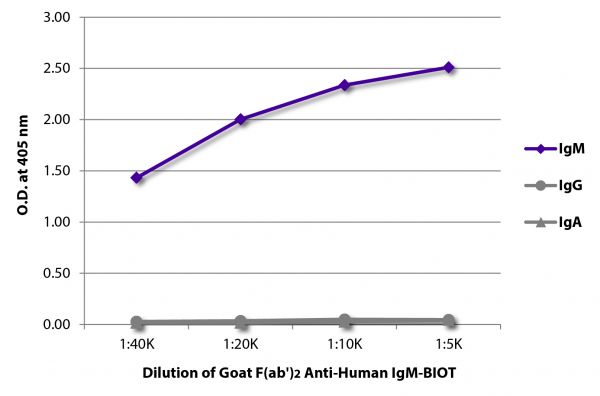 ELISA plate was coated with purified human IgM, IgG, and IgA. Immunoglobulins were detected with serially diluted Goat F(ab')<sub>2</sub> Anti-Human IgM-BIOT (SB Cat. No. 2022-08) followed by Streptavidin-HRP (SB Cat. No. 7100-05).