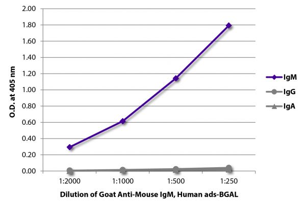 ELISA plate was coated with purified mouse IgM, IgG, and IgA.  Immunoglobulins were detected with serially diluted Goat Anti-Mouse IgM, Human ads-BGAL (SB Cat. No. 1020-06).