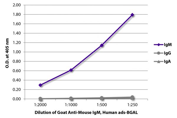 ELISA plate was coated with purified mouse IgM, IgG, and IgA. Immunoglobulins were detected with serially diluted Goat Anti-Mouse IgM, Human ads-BGAL (SB Cat. No. 1020-06).