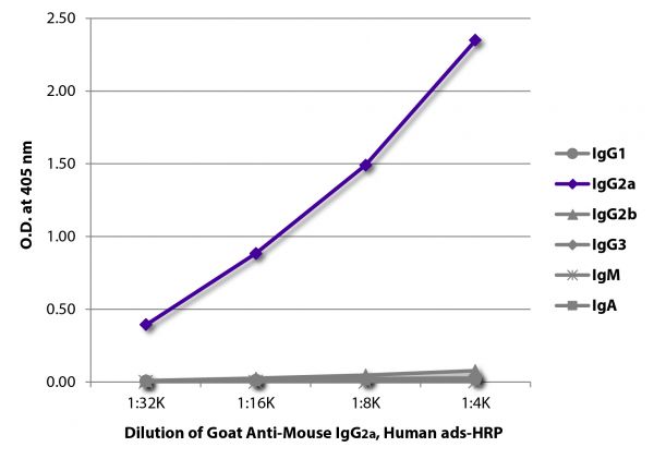 ELISA plate was coated with purified mouse IgG<sub>1</sub>, IgG<sub>2a</sub>, IgG<sub>2b</sub>, IgG<sub>3</sub>, IgM, and IgA.  Immunoglobulins were detected with serially diluted Goat Anti-Mouse IgG<sub>2a</sub>, Human ads-HRP (SB Cat. No. 1080-05).