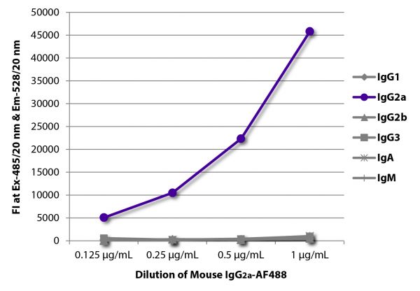 FLISA plate was coated with Goat Anti-Mouse IgG<sub>1</sub>, Human ads-UNLB (SB Cat. No. 1070-01), Goat Anti-Mouse IgG<sub>2a</sub>, Human ads-UNLB (SB Cat. No. 1080-01), Goat Anti-Mouse IgG<sub>2b</sub>, Human ads-UNLB (SB Cat. No. 1090-01), Goat Anti-Mouse IgG<sub>3</sub>, Human ads-UNLB (SB Cat. No. 1100-01), Goat Anti-Mouse IgA-UNLB (SB Cat. No. 1040-01), and Goat Anti-Mouse IgM, Human ads-UNLB (SB Cat. No. 1020-01). Serially diluted Mouse IgG<sub>2a</sub>-AF488 (SB Cat. No. 0103-30) was captured and fluorescence intensity quantified.