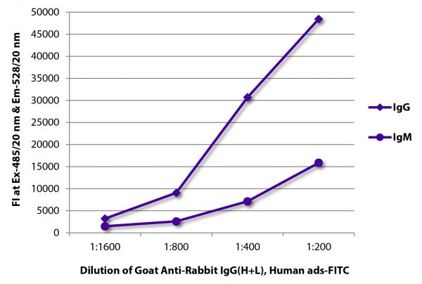 FLISA plate was coated with purified rabbit IgG and IgM.  Immunoglobulins were detected with serially diluted Goat Anti-Rabbit IgG(H+L), Human ads-FITC (SB Cat. No. 4051-02).