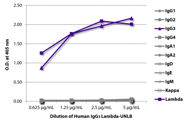 ELISA plate was coated with serially diluted Human IgG<sub>3</sub> Lambda-UNLB (SB Cat. No. 0153L-01).  Immunoglobulin was detected with Mouse Anti-Human IgG<sub>1</sub> Hinge-BIOT (SB Cat. No. 9052-08), Mouse Anti-Human IgG<sub>2</sub> Fc-BIOT (SB Cat. No. 9060-08), Mouse Anti-Human IgG<sub>3</sub> Hinge-BIOT (SB Cat. No. 9210-08), Mouse Anti-Human IgG<sub>4</sub> pFc'-BIOT (SB Cat. No. 9190-08), Mouse Anti-Human IgA<sub>1</sub>-BIOT (SB Cat. No. 9130-08), Mouse Anti-Human IgA<sub>2</sub>-BIOT (SB Cat. No. 9140-08),  Mouse Anti-Human IgD-BIOT (SB Cat. No. 9030-08), Mouse Anti-Human IgE Fc-BIOT (SB Cat. No. 9160-08), Mouse Anti-Human IgM-BIOT (SB Cat. No. 9020-08), Mouse Anti-Human Kappa-BIOT (SB Cat. No. 9230-08), and Mouse Anti-Human Lambda-BIOT (SB Cat. No. 9180-08) followed by Streptavidin-HRP (SB Cat. No. 7100-05) and quantified.