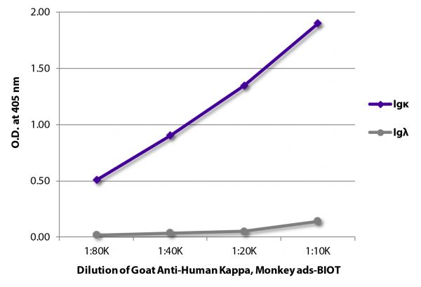 ELISA plate was coated with purified human IgGκ, IgMκ, IgAκ, IgGλ, IgMλ, and IgAλ.  Immunoglobulins were detected with serially diluted Goat Anti-Human Kappa, Monkey ads-BIOT (SB Cat. No. 2064-08).