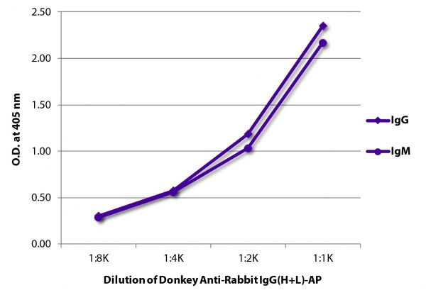 ELISA plate was coated with purified rabbit IgG and IgM. Immunoglobulins were detected with serially diluted Donkey Anti-Rabbit IgG(H+L)-AP (SB Cat. No. 6441-04).