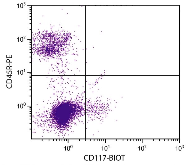 C57BL/6 mouse bone marrow cells were stained with Rat Anti-Mouse CD117-BIOT (SB Cat. No. 1880-08) and Rat Anti-Mouse CD45R-PE (SB Cat. No. 1665-09) followed by Streptavidin-FITC (SB Cat. No. 7100-02).