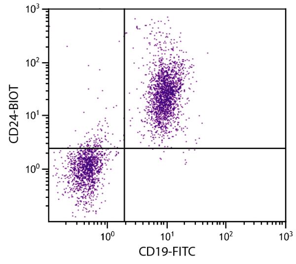 BALB/c mouse splenocytes were stained with Rat Anti-Mouse CD24-BIOT (SB Cat. No. 1815-08) and Rat Anti-Mouse CD19-FITC (SB Cat. No. 1575-02) followed by Streptavidin-PE (SB Cat. No. 7100-09).