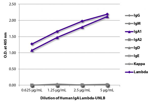 ELISA plate was coated with serially diluted Human IgA Lambda-UNLB (SB Cat. No. 0155L-01).  Immunoglobulin was detected with Mouse Anti-Human IgG-BIOT (SB Cat. No. 9040-08), Mouse Anti-Human IgM-BIOT (SB Cat. No. 9020-08), Mouse Anti-Human IgA<sub>1</sub>-BIOT (SB Cat. No. 9130-08), Mouse Anti-Human IgA<sub>2</sub>-BIOT (SB Cat. No. 9140-08),  Mouse Anti-Human IgD-BIOT (SB Cat. No. 9030-08), Mouse Anti-Human IgE Fc-BIOT (SB Cat. No. 9160-08), Mouse Anti-Human Kappa-BIOT (SB Cat. No. 9230-08), and Mouse Anti-Human Lambda-BIOT (SB Cat. No. 9180-08) followed by Streptavidin-HRP (SB Cat. No. 7100-05) and quantified.