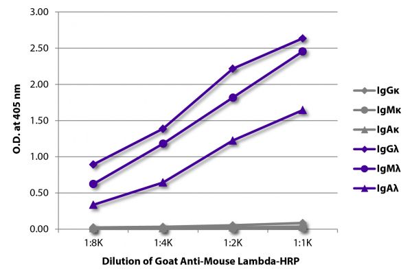 ELISA plate was coated with purified mouse IgGκ, IgMκ, IgAκ, IgGλ, IgMλ, and IgAλ. Immunoglobulins were detected with serially diluted Goat Anti-Mouse Lambda-HRP (SB Cat. No. 1060-05).