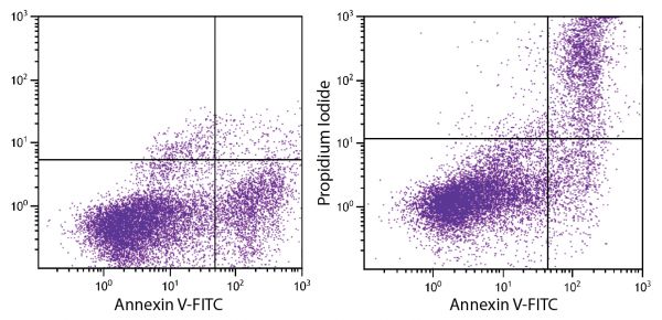 Day old BALB/c mouse splenocytes were stained with ApoScreen<sup>®</sup> Annexin V Apoptosis Kit-FITC (SB Cat. No. 10010-02).