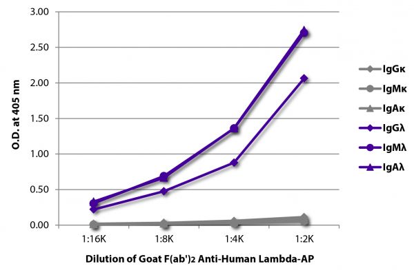 ELISA plate was coated with purified human IgGκ, IgMκ, IgAκ, IgGλ, IgMλ, and IgAλ. Immunoglobulins were detected with serially diluted Goat F(ab')<sub>2</sub> Anti-Human Lambda-AP (SB Cat. No. 2072-04).