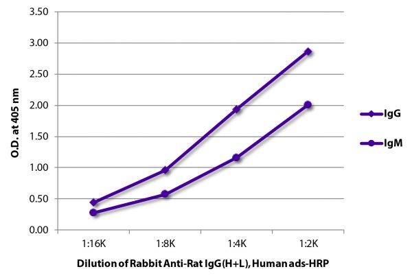 ELISA plate was coated with purified rat IgG and IgM.  Immunoglobulins were detected with Rabbit Anti-Rat IgG(H+L), Human ads-HRP (SB Cat. No. 6185-05).