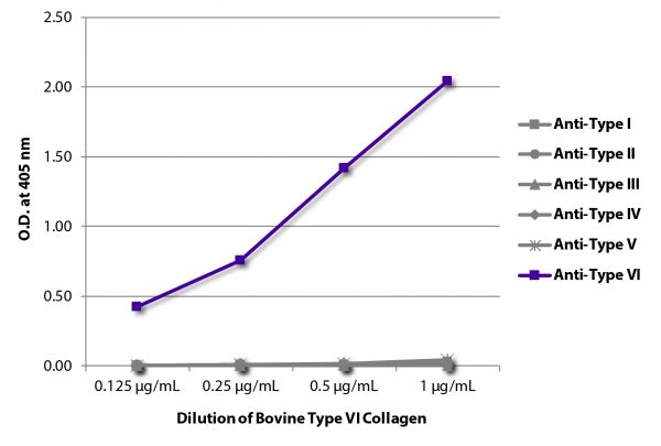 ELISA plate was coated with serially diluted Bovine Type VI Collagen (SB Cat. No. 1300-02S).  Purified collagen was detected with Goat Anti-Type I Collagen-BIOT (SB Cat. No. 1310-08), Goat Anti-Type II Collagen-BIOT (SB Cat. No. 1320-08), Goat Anti-Type III Collagen-BIOT (SB Cat. No. 1330-08), Goat Anti-Type IV Collagen-BIOT (SB Cat. No. 1340-08), Goat Anti-Type V Collagen-BIOT (SB Cat. No. 1350-08), and Goat Anti-Type VI Collagen-BIOT (SB Cat. No. 1360-08) followed by Streptavidin-HRP (SB Cat. No. 7100-05).