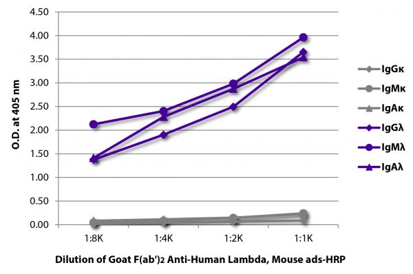 ELISA plate was coated with purified human IgGκ, IgMκ, IgAκ, IgGλ, IgMλ, and IgAλ. Immunoglobulins were detected with serially diluted Goat F(ab')<sub>2</sub> Anti-Human Lambda, Mouse ads-HRP (SB Cat. No. 2073-05).