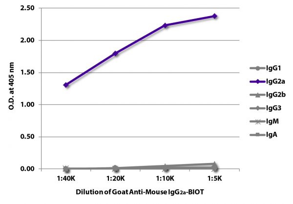 ELISA plate was coated with purified mouse IgG<sub>1</sub>, IgG<sub>2a</sub>, IgG<sub>2b</sub>, IgG<sub>3</sub>, IgM, and IgA. Immunoglobulins were detected with serially diluted Goat Anti-Mouse IgG<sub>2a</sub>-BIOT (SB Cat. No. 1081-08) followed by Streptavidin-HRP (SB Cat. No. 7100-05).