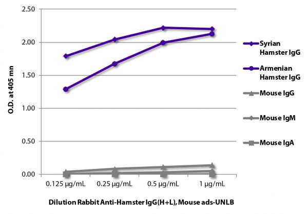 ELISA plate was coated with purified Syrian hamster IgG, Armenian hamster IgG, and mouse IgG, IgM, and IgA.  Immunoglobulins were detected with Rabbit Anti-Hamster IgG(H+L), Mouse ads-UNLB (SB Cat. No. 6211-01) followed by Goat Anti-Rabbit IgG(H+L), Mouse/Human ads-HRP (SB Cat. No. 4050-05).