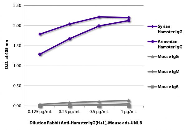 ELISA plate was coated with purified Syrian hamster IgG, Armenian hamster IgG, and mouse IgG, IgM, and IgA. Immunoglobulins were detected with Rabbit Anti-Hamster IgG(H+L), Mouse ads-UNLB (SB Cat. No. 6211-01) followed by Goat Anti-Rabbit IgG(H+L), Mouse/Human ads-HRP (SB Cat. No. 4050-05).