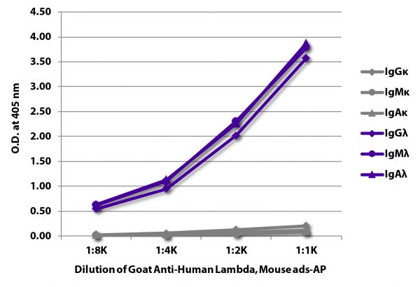 ELISA plate was coated with purified human IgGκ, IgMκ, IgAκ, IgGλ, IgMλ, and IgAλ.  Immunoglobulins were detected with serially diluted Goat Anti-Human Lambda, Mouse ads-AP (SB Cat. No. 2071-04).