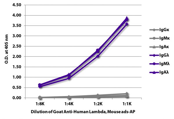 ELISA plate was coated with purified human IgGκ, IgMκ, IgAκ, IgGλ, IgMλ, and IgAλ. Immunoglobulins were detected with serially diluted Goat Anti-Human Lambda, Mouse ads-AP (SB Cat. No. 2071-04).