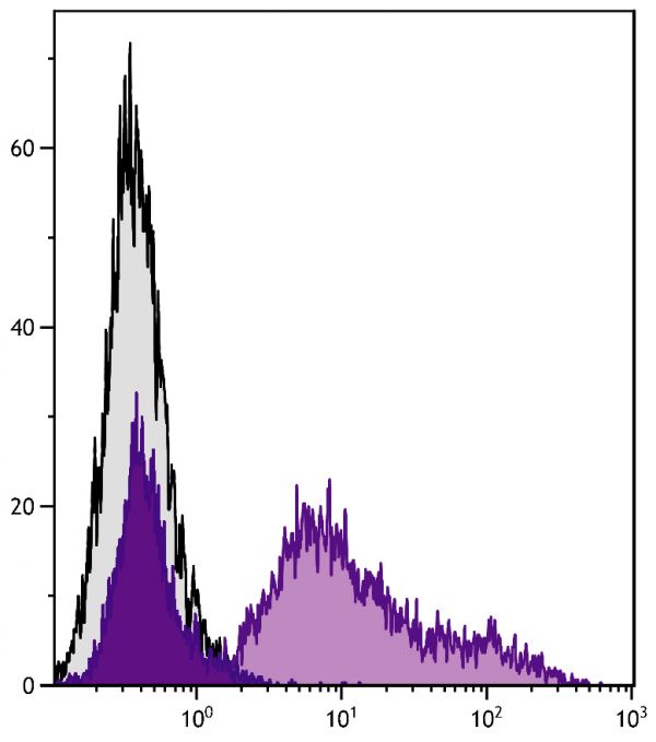 Rabbit peripheral blood lymphocytes were stained with Mouse Anti-Rabbit RLA-DQ-UNLB (SB Cat. No. 4080-01) followed by Goat Anti-Mouse IgG<sub>2a</sub>, Human ads-FITC (SB Cat. No. 1080-02).