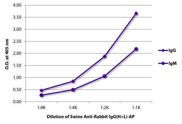 ELISA plate was coated with purified rabbit IgG and IgM. Immunoglobulins were detected with Swine Anti-Rabbit IgG(H+L)-AP (SB Cat. No. 6311-04).