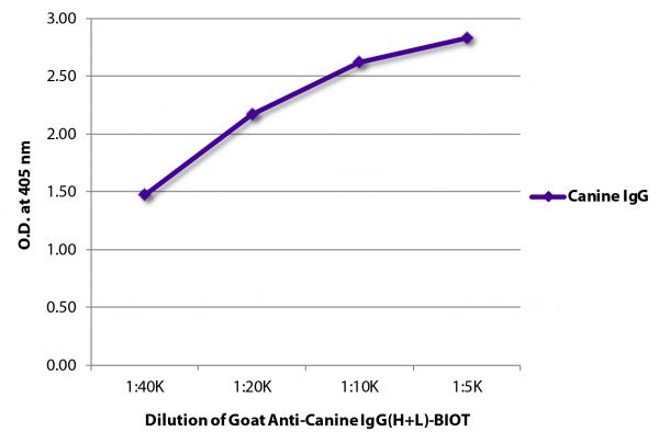 ELISA plate was coated with purified canine IgG. Immunoglobulin was detected with Goat Anti-Canine IgG(H+L)-BIOT (SB Cat. No. 6070-08) followed by Streptavidin-HRP (SB Cat. No. 7100-05).