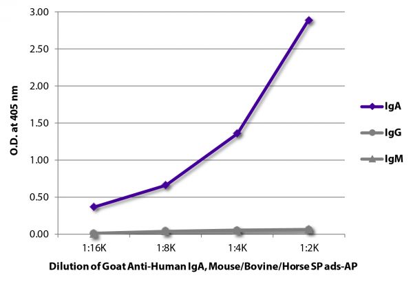 ELISA plate was coated with purified human IgA, IgG, and IgM. Immunoglobulins were detected with serially diluted Goat Anti-Human IgA, Mouse/Bovine/Horse SP ads-AP (SB Cat. No. 2053-04).
