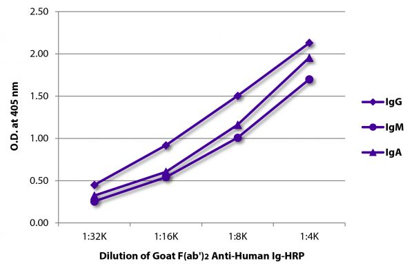 ELISA plate was coated with purified human IgG, IgM, and IgA. Immunoglobulins were detected with serially diluted Goat F(ab')<sub>2</sub> Anti-Human Ig-HRP (SB Cat. No. 2012-05).