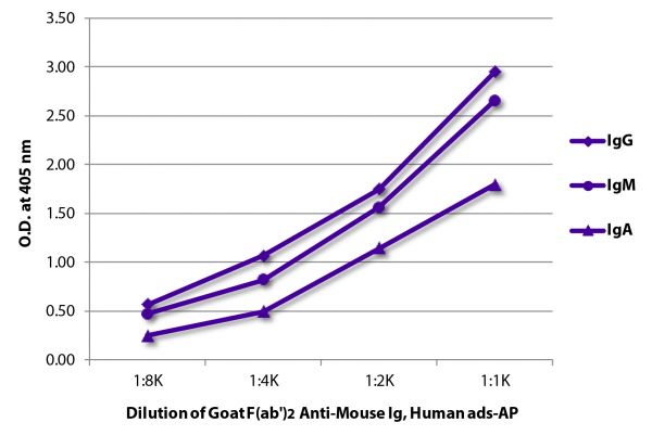 ELISA plate was coated with purified mouse IgG, IgM, and IgA. Immunoglobulins were detected with serially diluted Goat F(ab')<sub>2</sub> Anti-Mouse Ig, Human ads-AP (SB Cat. No. 1012-04).