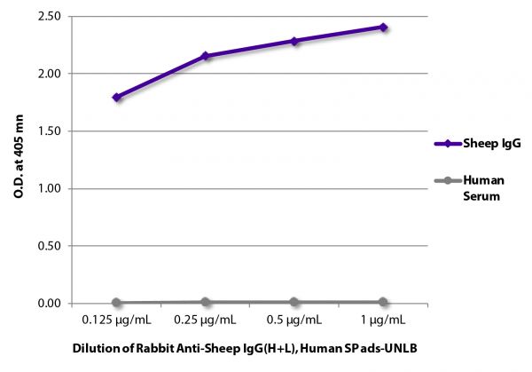ELISA plate was coated with purified sheep IgG and human serum. Immunoglobulin and serum were detected with Rabbit Anti-Sheep IgG(H+L), Human SP ads-UNLB (SB Cat. No. 6156-01) followed by Goat Anti-Rabbit IgG(H+L), Mouse/Human ads-HRP (SB Cat. No. 4050-05).