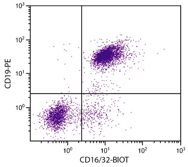 BALB/c mouse splenocytes were stained with Rat Anti-Mouse CD16/32-BIOT (SB Cat. No. 1630-08) and Rat Anti-Mouse CD19-PE (SB Cat. No. 1575-09) followed by Streptavidin-FITC (SB Cat. No. 7100-02).