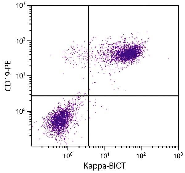 BALB/c mouse splenocytes were stained with Rat Anti-Mouse Kappa-BIOT (SB Cat. No. 1180-08) and Rat Anti-Mouse CD19-PE (SB Cat. No. 1575-09) followed by Streptavidin-FITC (SB Cat. No. 7100-02).