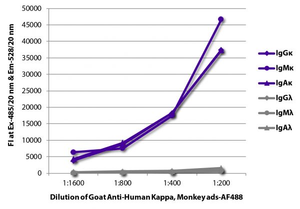 ELISA plate was coated with purified human IgGκ, IgMκ, IgAκ, IgGλ, IgMλ, and IgAλ.  Immunoglobulins were detected with serially diluted Goat Anti-Human Kappa, Monkey ads-AF488 (SB Cat. No. 2064-30).