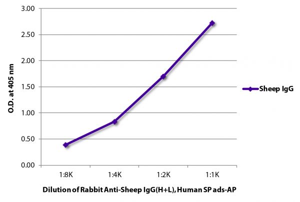 ELISA plate was coated with purified sheep IgG.  Immunoglobulin was detected with Rabbit Anti-Sheep IgG(H+L), Human SP ads-AP (SB Cat. No. 6156-04).