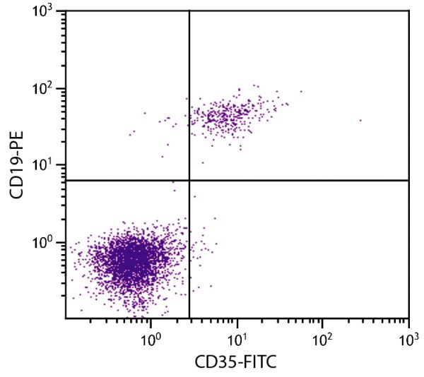 Human peripheral blood lymphocytes were stained with Mouse Anti-Human CD35-FITC (SB Cat. No. 9600-02) and Mouse Anti-Human CD19-PE (SB Cat. No. 9340-09).