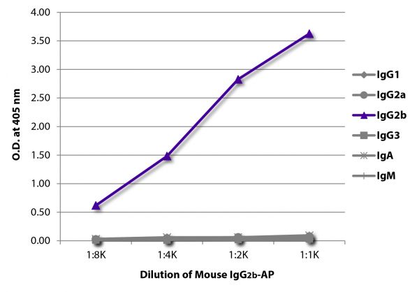 ELISA plate was coated with Goat Anti-Mouse IgG<sub>1</sub>, Human ads-UNLB (SB Cat. No. 1070-01), Goat Anti-Mouse IgG<sub>2a</sub>, Human ads-UNLB (SB Cat. No. 1080-01), Goat Anti-Mouse IgG<sub>2b</sub>, Human ads-UNLB (SB Cat. No. 1090-01), Goat Anti-Mouse IgG<sub>3</sub>, Human ads-UNLB (SB Cat. No. 1100-01), Goat Anti-Mouse IgA-UNLB (SB Cat. No. 1040-01), and Goat Anti-Mouse IgM, Human ads-UNLB (SB Cat. No. 1020-01). Serially diluted Mouse IgG<sub>2b</sub>-AP (SB Cat. No. 0104-04) was captured and quantified.