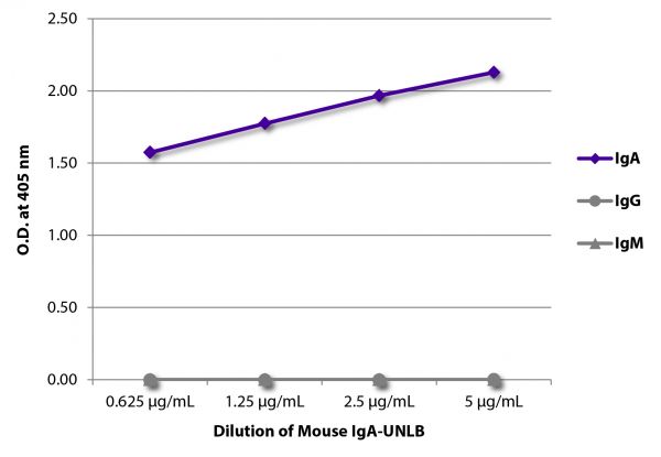 ELISA plate was coated with serially diluted Mouse IgA-UNLB (SB Cat. No. 0106-01). Immunoglobulin was detected with Goat Anti-Mouse IgG, Human ads-BIOT (SB Cat. No. 1030-08), Goat Anti-Mouse IgA-BIOT (SB Cat. No. 1040-08), and Goat Anti-Mouse IgM, Human ads-BIOT (SB Cat. No. 1020-08) followed by Streptavidin-HRP (SB Cat No. 7100-05) and quantified.