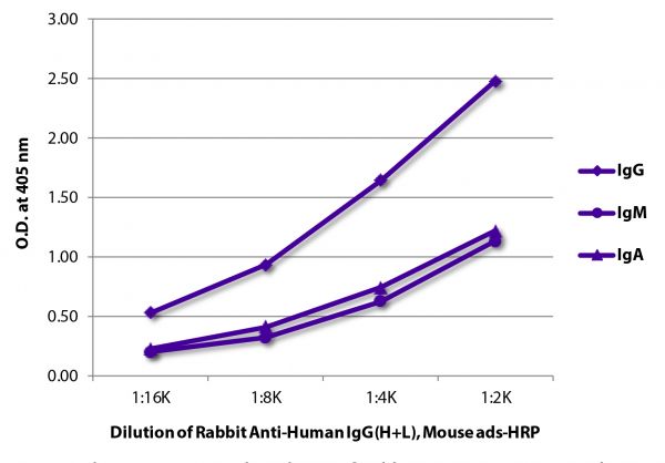 ELISA plate was coated with purified human IgG, IgM, and IgA. Immunoglobulins were detected with Rabbit Anti-Human IgG(H+L), Mouse ads-HRP (SB Cat. No. 6145-05).