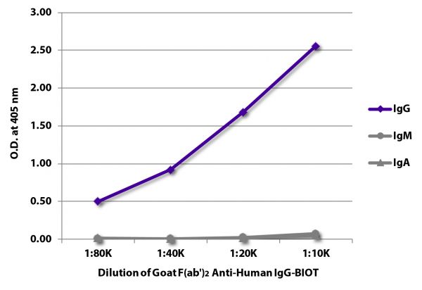 ELISA plate was coated with purified human IgG, IgM, and IgA.  Immunoglobulins were detected with serially diluted Goat F(ab')<sub>2</sub> Anti-Human IgG-BIOT (SB Cat. No. 2042-08) followed by Streptavidin-HRP (SB Cat. No. 7100-05).