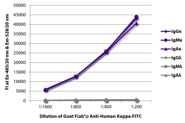 FLISA plate was coated with purified human IgGκ, IgMκ, IgAκ, IgGλ, IgMλ, and IgAλ. Immunoglobulins were detected with serially diluted Goat F(ab')<sub>2</sub> Anti-Human Kappa-FITC (SB Cat. No. 2062-02).