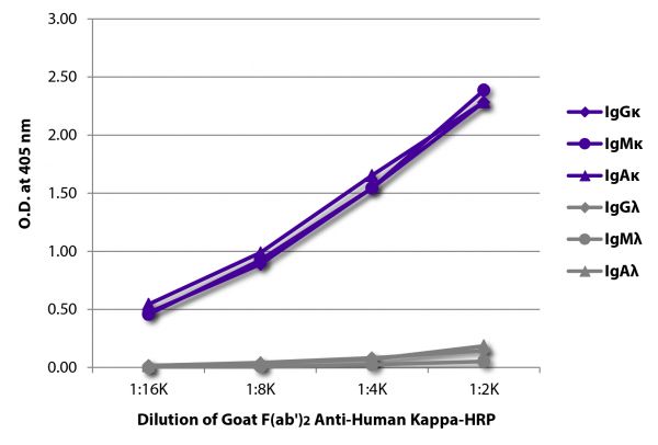 ELISA plate was coated with purified human IgGκ, IgMκ, IgAκ, IgGλ, IgMλ, and IgAλ.  Immunoglobulins were detected with serially diluted Goat F(ab')<sub>2</sub> Anti-Human Kappa-HRP (SB Cat. No. 2062-05).